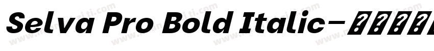 Selva Pro Bold Italic字体转换